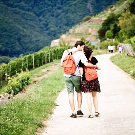 Breuer's Ruedesheimer Schloss 4* Rüdesheim am Rhein