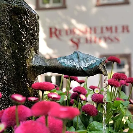 Breuer's Ruedesheimer Schloss Otel 4*